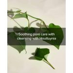 MARY & MAY – Houttuynia Cordata + Tea Tree Cleansing Foam - Image 7