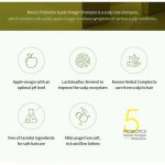 MASIL – 5 Probiotics Apple Vinegar Shampoo - 8ml - Image 6