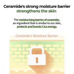 NUMBUZIN – No.2 - Cica Ceramide Repair Cream - Image 6