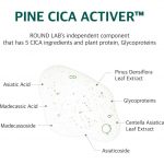 ROUND LAB – Pine Calming Cica Pad | Calming, Anti-Redness - Image 6