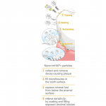 APAGARD – Premio Premium Type Toothpaste | Whitening - Image 3