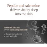 PYUNKANG YUL – Black Tea Enriched Cream | Anti-Aging - Image 6